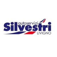 Autoservizi Silvestri logo - Similar company to Autoservizi Condorelli