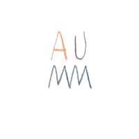 aumm logo - Similar company to Exceleris