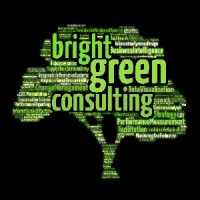 Bright Green Consulting