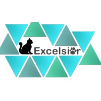 Excelsior A.N. logo - Similar company to Vsystem Sp. Z O.O.