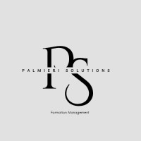 Palmieri Solutions logo - Similar company to Insufflo