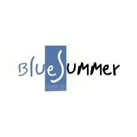 Blue Summer logo - Similar company to Vifit Training