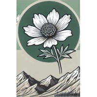 Parnassus Capital logo - Similar company to Oak Road Ventures