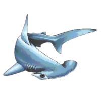 Hammerhead Construction logo - Similar company to Wrb Construction