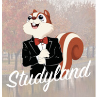 Studyland Canada logo - Similar company to Singlepoint Consulting, Llc