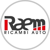 RAEM SRL logo - Similar company to Ricam Spa
