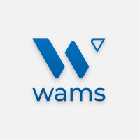 Wams logo - Similar company to Mipto Tech