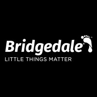 Bridgedale Outdoor Limited logo - Similar company to Sprayway
