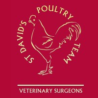 St David's Poultry Team logo - Similar company to Ursus Lt Uab
