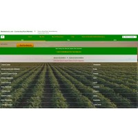 Marketmirchi.com logo - Similar company to Ficcus Group