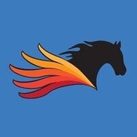 Pegasus Technologies logo - Similar company to Pegasus Technologies