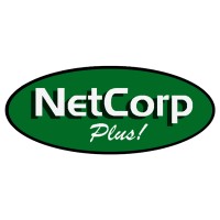 Network Plus Merchandising and Promo Services, Corp. logo - Similar company to Digital Network Access Inc.