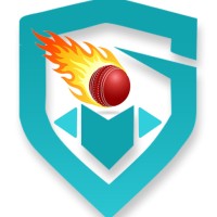 Fantasy Power 11 logo - Similar company to Fantasy Khiladi