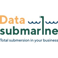 DataSubmarine logo - Similar company to Biseif
