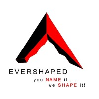 EVERSHAPED Construction Services EOOD logo - Similar company to 4D Construction Group