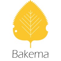 Bakema logo - Similar company to Nordan Uab