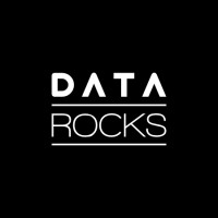Data Rocks logo - Similar company to Data.Rocks