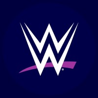 WWE Network logo - Similar company to Akcelerate Consulting
