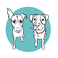 Save Our Scruff - Rehome & Rescue logo - Similar company to Unleashed In The City