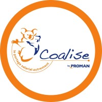 Coalise logo - Similar company to Computer Aided Technologies (Cat)
