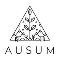 Ausum logo - Similar company to Kokoverse