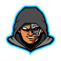 NetPlay logo - Similar company to Red61