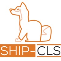 Carrier Logistics Solutions logo - Similar company to Wanship Transportation