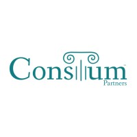 Consilium Partners Limited logo - Similar company to Titanium Escrow