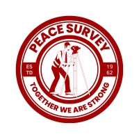 Peace Survey logo - Similar company to Ais-Artificial Intelligence Solution