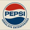 Himalaya Enterprises logo - Similar company to Audit Hub