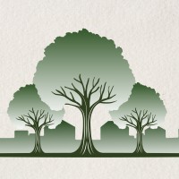 Three Oaks Carbon logo - Similar company to Energy Vs Climate Podcast