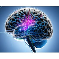 Brain Computer Interface Group India logo - Similar company to Brainalive Ai