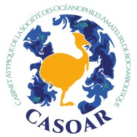 CASOAR logo - Similar company to Ealat