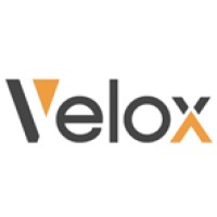 Velox Robotics logo - Similar company to Digital Cargo Management (Digcargo)