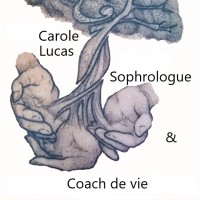 avec carole lucas logo - Similar company to Kekeli Lab