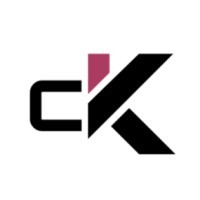 Code Kaisen logo - Similar company to The Bulls Run Group, Llc