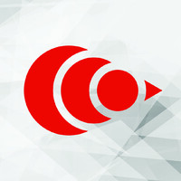 Bloodhound LSR logo - Similar company to Kim Software Solutions