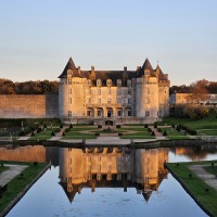 Château de la Roche Courbon logo - Similar company to Larunque Castel