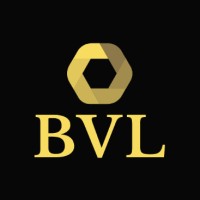 Blockchain Ventures Ltd logo - Similar company to Blockchain Ventures