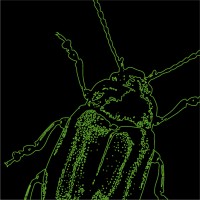 Hackathon Bugsbyte logo - Similar company to Cesium