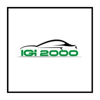 Igi-2000 logo - Similar company to Mr. New Life