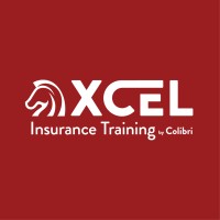 XCEL logo - Similar company to Ourweb