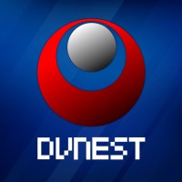 DVNESTinc logo - Similar company to Sprolink