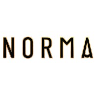 Norma Egypt logo - Similar company to Ramw Group