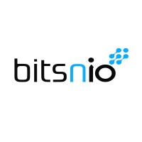 BitsnIO PVT LTD logo - Similar company to Link World