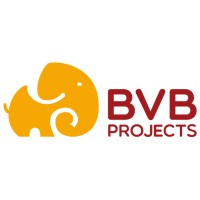 BVB PRO logo - Similar company to Inverson Group