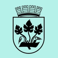 Stavanger Business Region logo - Similar company to Fomo