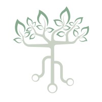 ATIS South Caucasus logo - Similar company to Amalithus