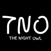 The Night Owl logo - Similar company to Tinselle Events