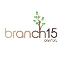 Branch15 logo - Similar company to Solomon Strategic Advisors